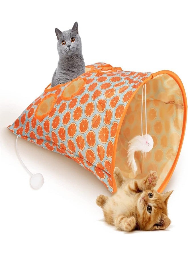Dangfly Cat Tunnel - Indoor Outdoor Kitty Puppy Toy for Hiding (1 Way) - Image 1